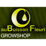 Aubuisson
